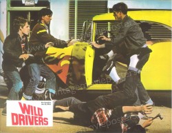 Wild Drivers (Return to Macon County)