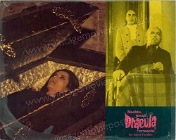 Count Dracula (Nachts, wenn Dracula erwacht)