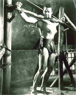 Tarzans Kampf ums Leben (Tarzan's Fight for Life)