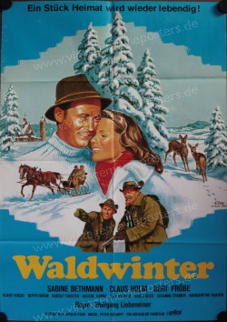 Waldwinter (Waldwinter)