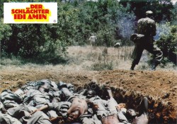Amin: The Rise and Fall (Rise and Fall of Idi Amin)