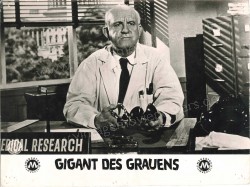 Gigant des Grauens (War of the Colossal Beast)