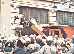 Soylent Green (Soylent Green)