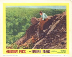 Purple Plain, The (Purple Plain, The)