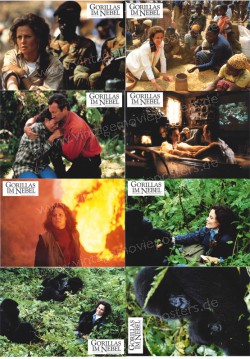 Gorillas in the Mist (Gorillas in the Mist: The Story of Dian Fossey)