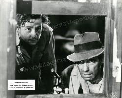 Treasure of the Sierra Madre, The (Treasure of the Sierra Madre, The)