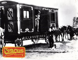 Circus, The (Circus, The)