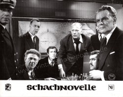 Brainwashed (Schachnovelle)