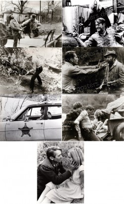 Sheriff, Der (I Walk the Line)