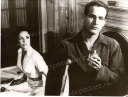 Cat on a Hot Tin Roof (Cat on a Hot Tin Roof)
