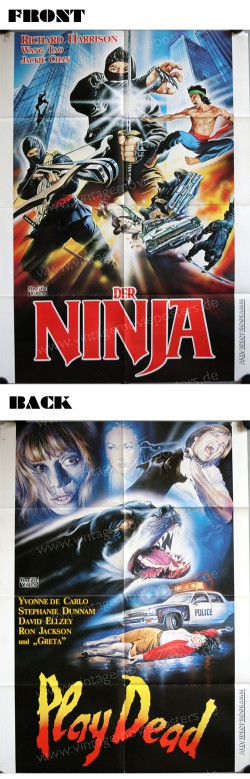 Ninja Thunderbolt (Ninja Thunderbolt)