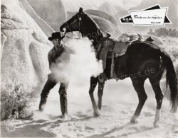 Hired Gun, The (Hired Gun, The)