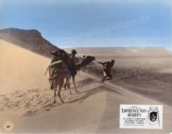 Lawrence of Arabia (Lawrence of Arabia)