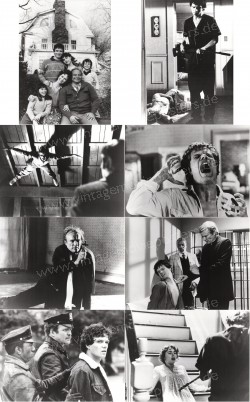 Amityville II: The Possession (Amityville II: The Possession)