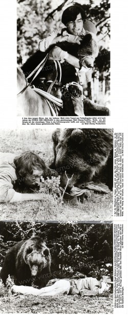 King of the Grizzlies (King of the Grizzlies)