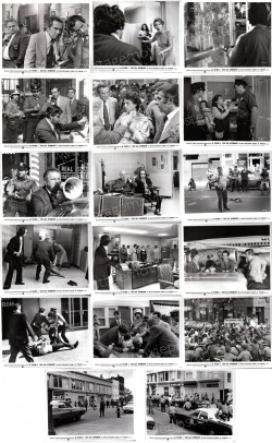 Dog Day Afternoon (Dog Day Afternoon)