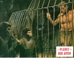 Planet of the Apes, The (Planet of the Apes, The)