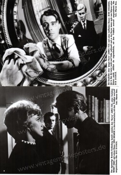 Servant, The (Servant, The)