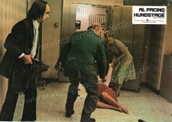 Dog Day Afternoon (Dog Day Afternoon)