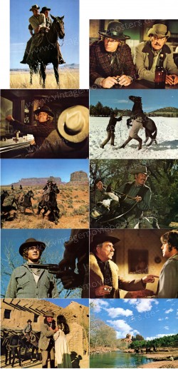 Wild Rovers (Wild Rovers)
