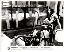 Frankensteins Fluch (Curse of Frankenstein, The)