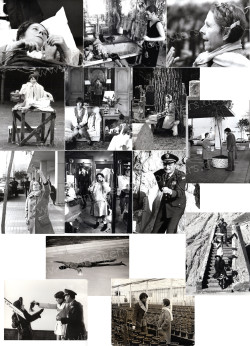 Harold and Maude (Harold and Maude)