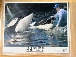 Free Willy 2: The Adventure Home (Free Willy 2: The Adventure Home)