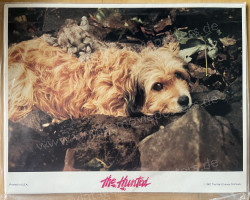 Benji - Sein größtes Abenteuer (Benji the Hunted)