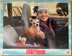 Legally Blonde (Legally Blonde)
