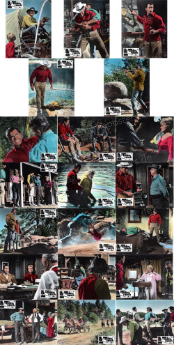 Night of the Grizzly, The (Night of the Grizzly, The)