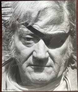 Marshal, Der (True Grit)