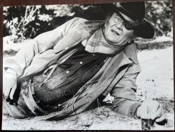 Marshal, Der (True Grit)