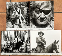 Marshal, Der (True Grit)