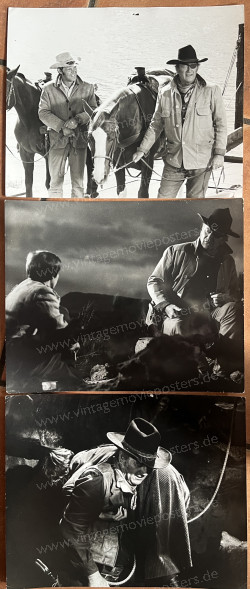 Marshal, Der (True Grit)