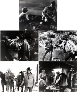Marshal, Der (True Grit)