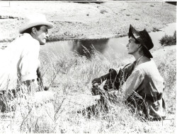 Weites Land (Big Country, The)