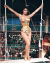 Trapez (Trapeze)