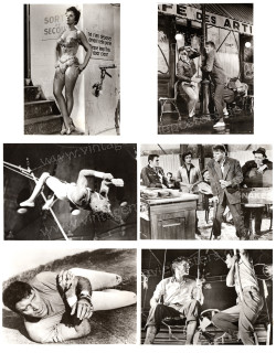 Trapez (Trapeze)