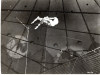 Trapez (Trapeze)